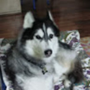 Meet your Posher, B.